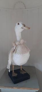 Decoratie oude opgezette eend, Antiek en Kunst, Ophalen