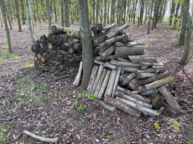 brandhout, 3 tot 6 m³, Ophalen, Blokken