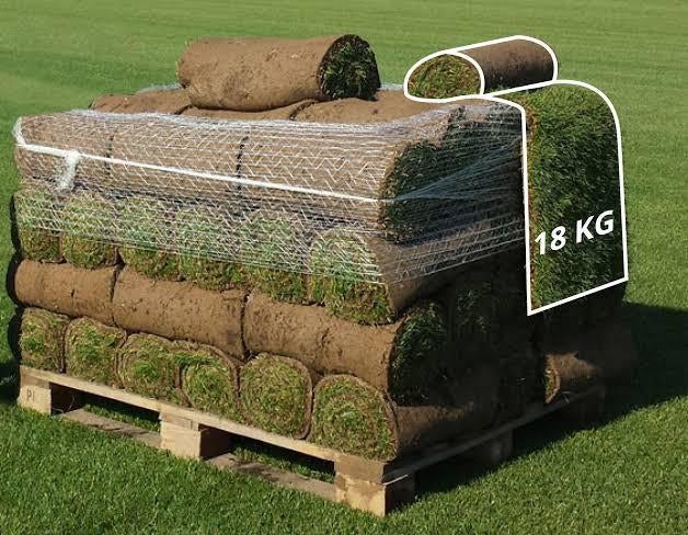 Jardinier, Jardin & Terrasse