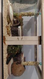 Souris épineuses + cage, Niche, Moins de 60 cm, Comme neuf, Rat