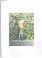 COUPE DES TROPHÉES DE LA BRASSERIE MENA ROTSELAAR, Envoi, Comme neuf, Autres types