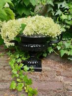 tuinvaas gietijzer , aanbieding, Tuin en Terras, Tuinvazen, Ophalen of Verzenden, Nieuw