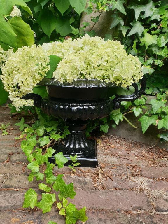 tuinvaas gietijzer , aanbieding, Tuin en Terras, Tuinvazen, Nieuw, Ophalen of Verzenden