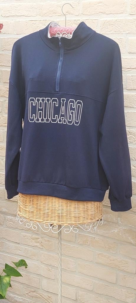 Trui maat xl shein 60cm van oksel tot oksel, Kleding | Dames, Grote Maten, Ophalen of Verzenden, Zo goed als nieuw, Blauw