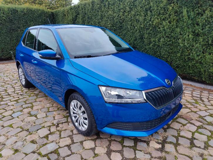 Skoda Fabia 1.0 TSI Ambition, Auto's, Skoda, Bedrijf, Fabia, ABS, Airbags, Airconditioning, Android Auto, Apple Carplay, Bluetooth