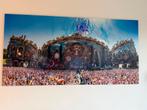 Tomorrowland Manstage foto 2x1m - Uniek exemplaar