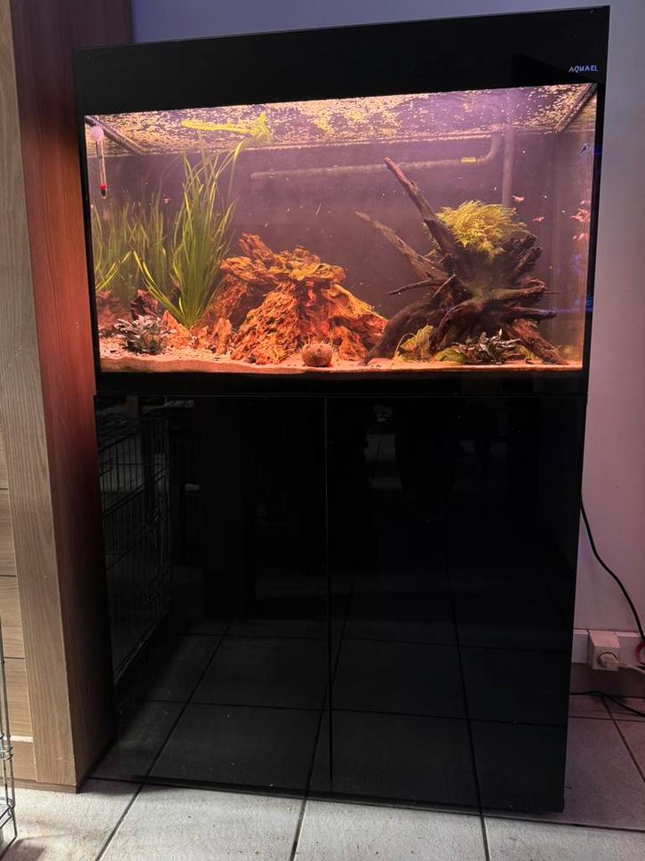 Ingericht aquarium, Animaux & Accessoires, Poissons | Aquariums & Accessoires, Comme neuf, Enlèvement