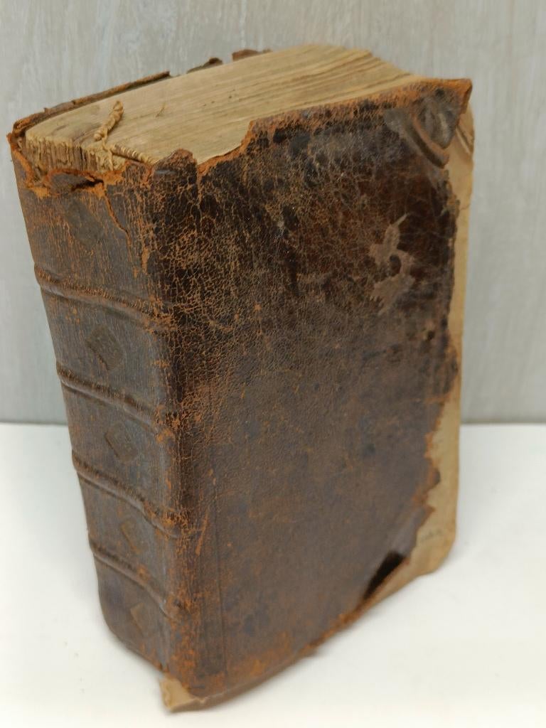 Handt-bussel der historien ter eeren vanden hooghweerdigen, Ophalen of Verzenden