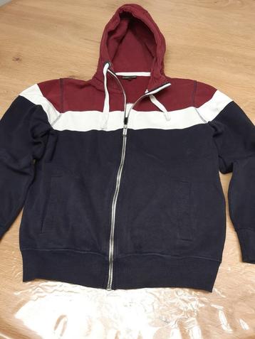 Blauw-bordeau hoody met rits, medium beschikbaar voor biedingen
