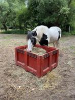Tinker merrie 23j, Dieren en Toebehoren, Paarden, Minder dan 160 cm, Zadelmak, 11 jaar of ouder, Recreatiepaard