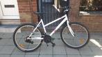 Velo 26 p.21 Vit tout tok a chat Luik 4000, Fietsen en Brommers, Fietsen | Mountainbikes en ATB, Geen vering, Ophalen, Gebruikt