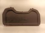 HOEDENPLANK Dacia Spring Hatchback 45 (4DB-401) (01-2020/-), Gebruikt, Dacia