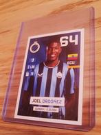 Panini Pro League 2024-2025 JOEL ORDONEZ, Verzamelen, Ophalen of Verzenden, Nieuw, Sport