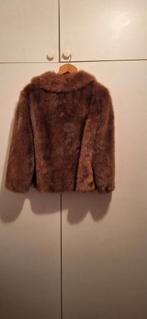 Bontjas Nerts maat 42 a 44 (Hermelijntje Ledeberg), Kleding | Dames, Jassen | Winter, Ophalen, Gedragen