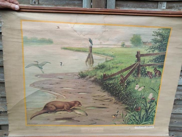 schildersdoek schoolplaat: wever, vlechter, haven, otter,Jan, Antiek en Kunst, Curiosa en Brocante, Ophalen