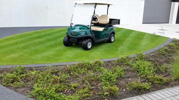 golfcar golfkar clubcar 2020 met nieuwe cargobox  beschikbaar voor biedingen