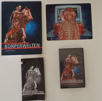 körperwelten beschikbaar voor biedingen