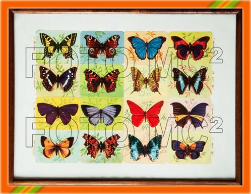 Vintage prenten 16 vlinders - in kader met glas, Antiek en Kunst, Curiosa en Brocante, Ophalen of Verzenden