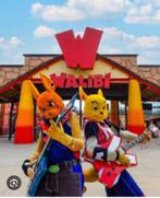 Billet walibi