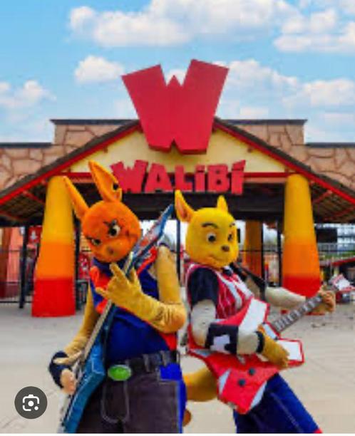 Billet walibi, Tickets en Kaartjes, Recreatie | Pretparken en Attractieparken