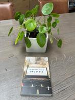 The 500 Hidden Secrets of Brussels, Ophalen of Verzenden, Zo goed als nieuw, Benelux, Reisgids of -boek