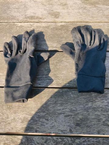 Paardrijhandschoenen  beschikbaar voor biedingen