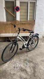 Propheet-fiets in uitstekende staat, Ophalen, Zo goed als nieuw