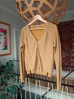 CKS mosterdgeel gileetje met vleugje glitter, XL (M/L), Kleding | Dames, Maat 38/40 (M), Overige kleuren, Ophalen of Verzenden