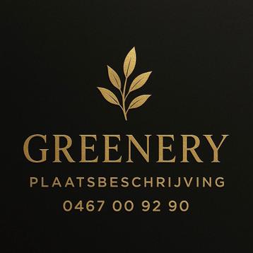 Professionele plaatsbeschrijving all in 99eueo beschikbaar voor biedingen