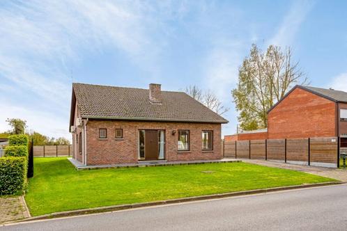 15 stuks Houten Ramen en deuren met dubbelglas, Doe-het-zelf en Bouw, Glas en Ramen, Gebruikt, Gevelraam of Ruit, Dubbelglas, Ophalen