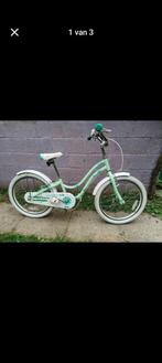 Kinderfiets, Fietsen en Brommers, Ophalen, Zo goed als nieuw, 20 inch of meer, Trek