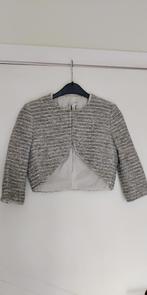 Vest (bolero) maat S, Kleding | Dames, Ophalen of Verzenden, Nieuw, Maat 36 (S)