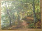 Schilderij op doek van Van Essche, "Boswandeling", Ophalen of Verzenden