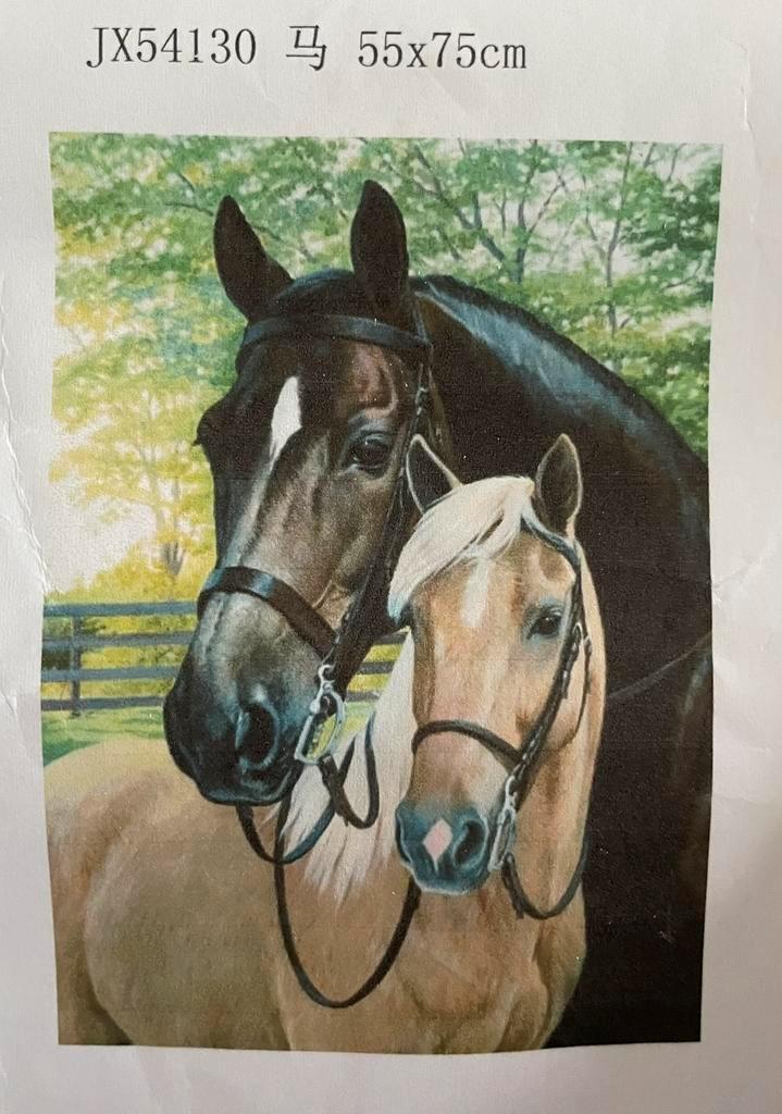Diamond painting 2 paarden, Hobby en Vrije tijd, Borduren en Borduurmachines, Zo goed als nieuw, Ophalen of Verzenden