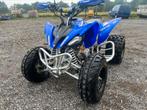 YAMAHA RAPTOR 250, Motoren