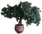 Grote kunstplant/miniboom/spar/bonsai, Enlèvement, Utilisé, Intérieur