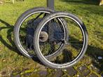 Mountainbike wielen (2) - Schwalbe, Ophalen, Zo goed als nieuw, Heren, Overige merken