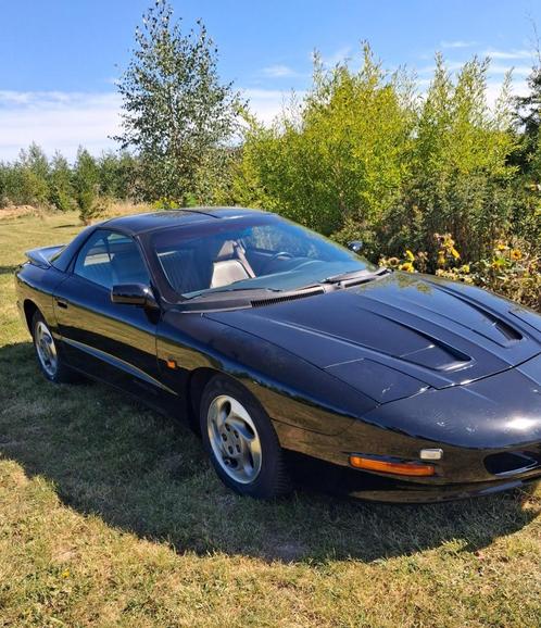 Oldtimer Pontiac firebird t-roof, Auto's, Oldtimers, Bedrijf, ABS, Adaptive Cruise Control, Airconditioning, Alarm, Centrale vergrendeling