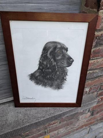 Gravure chien signe leon danchin beschikbaar voor biedingen