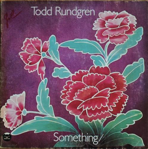 TODD RUNDGREN - SOMETHING/ANYTHING, Cd's en Dvd's, Vinyl | Rock, Gebruikt, Rock-'n-Roll, Verzenden