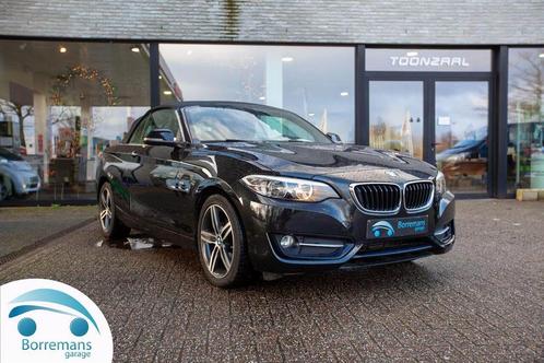 BMW 218 218d - CABRIO - M-PAKKET, Autos, BMW, Entreprise, Série 2, ABS, Airbags, Air conditionné, Bluetooth, Ordinateur de bord