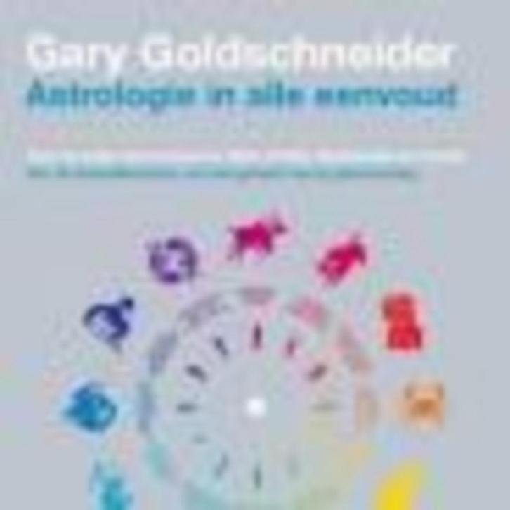 Astrologie in alle eenvoud Gary Goldschneider 349 blz, Boeken, Esoterie en Spiritualiteit, Zo goed als nieuw, Astrologie, Ophalen of Verzenden