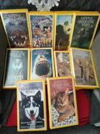 VHS National Geographic Video    lot of apart, Enlèvement