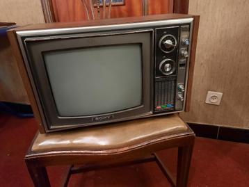 Sony Trinitron TV (draagbaar) beschikbaar voor biedingen