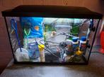 Aquarium   b 58  h 40  d. 30, Ophalen, Zo goed als nieuw