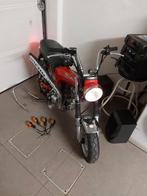 Dax 50cc : B-klasse : startklaar!, Fietsen en Brommers, Ophalen of Verzenden, Zo goed als nieuw