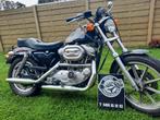 Harley davidson sportster 883, Motoren