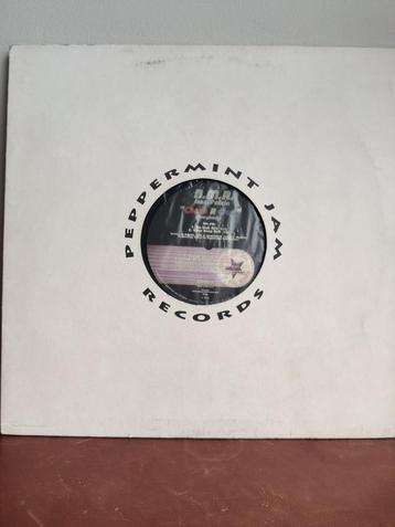 Vinyl: B.M.R.* Feat. Felicia – Check It Out! (Everybody) beschikbaar voor biedingen