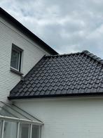 Algemene dakwerken,roofing,EPDM 23 jaar ervaring, Garantie, Riet