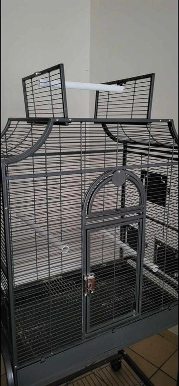 A SAISIR CAUSE DÉMÉNAGEMENT et ARRÊT D'ÉLEVAGE  beschikbaar voor biedingen